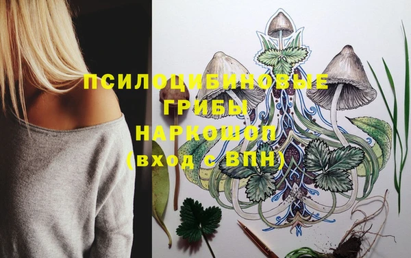 бутират Горно-Алтайск